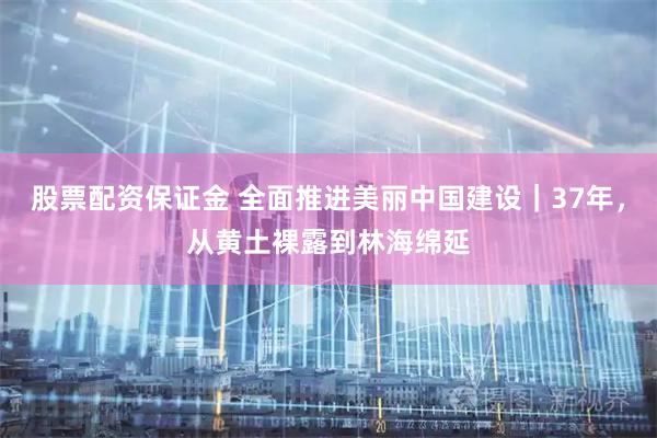 股票配资保证金 全面推进美丽中国建设｜37年，从黄土裸露到林海绵延